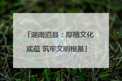 湖南道县：厚植文化底蕴 筑牢文明根基