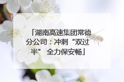 湖南高速集团常德分公司：冲刺“双过半” 全力保安畅