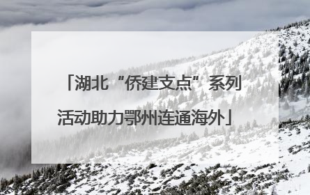 湖北“侨建支点”系列活动助力鄂州连通海外