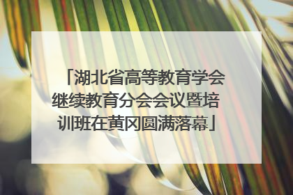 湖北省高等教育学会继续教育分会会议暨培训班在黄冈圆满落幕