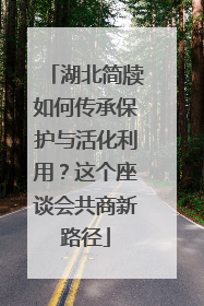 湖北简牍如何传承保护与活化利用？这个座谈会共商新路径