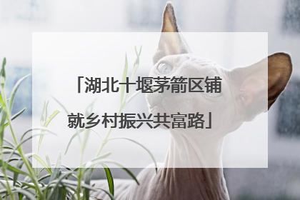湖北十堰茅箭区铺就乡村振兴共富路