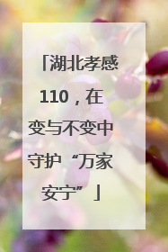 湖北孝感110，在变与不变中守护“万家安宁”