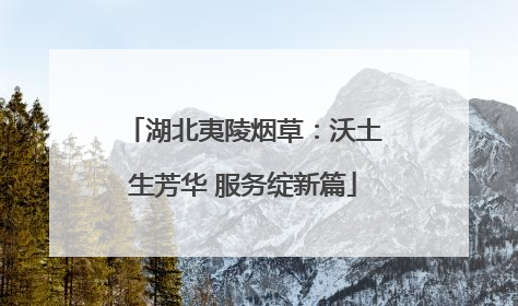 湖北夷陵烟草：沃土生芳华 服务绽新篇