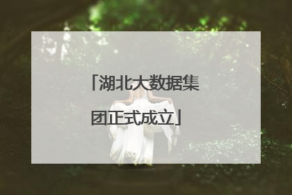 湖北大数据集团正式成立