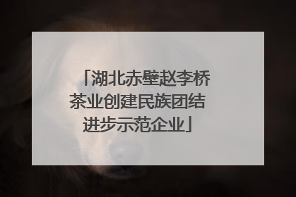 湖北赤壁赵李桥茶业创建民族团结进步示范企业