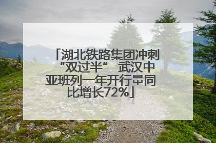 湖北铁路集团冲刺“双过半” 武汉中亚班列一年开行量同比增长72%