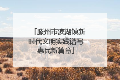 滕州市滨湖镇新时代文明实践谱写惠民新篇章