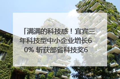 满满的科技感！宜宾三年科技型中小企业增长60% 斩获部省科技奖6项｜您牵挂的四川
