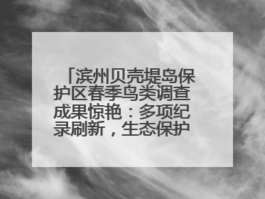 滨州贝壳堤岛保护区春季鸟类调查成果惊艳：多项纪录刷新，生态保护成效显著