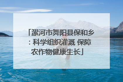漯河市舞阳县保和乡：科学组织灌溉 保障农作物健康生长