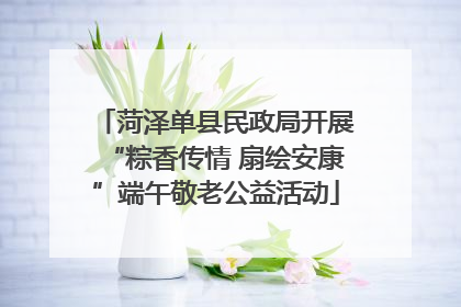 菏泽单县民政局开展“粽香传情 扇绘安康”端午敬老公益活动