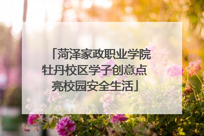 菏泽家政职业学院牡丹校区学子创意点亮校园安全生活