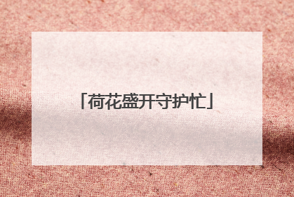荷花盛开守护忙