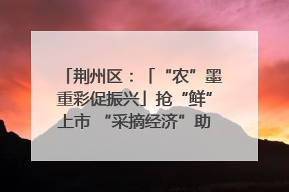 荆州区：「“农”墨重彩促振兴」抢“鲜”上市 “采摘经济”助农“甜蜜增收”