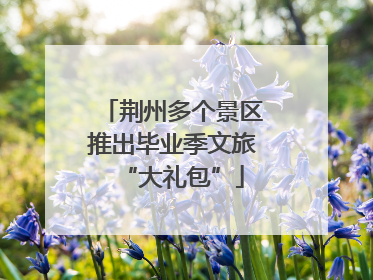 荆州多个景区推出毕业季文旅“大礼包”