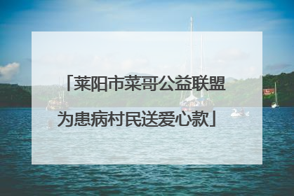 莱阳市菜哥公益联盟为患病村民送爱心款