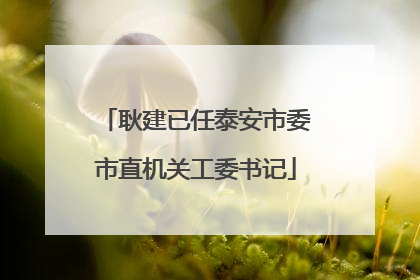 耿建已任泰安市委市直机关工委书记
