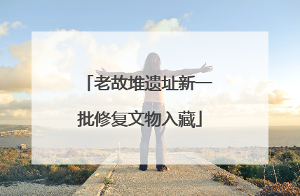 老故堆遗址新一批修复文物入藏