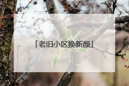 老旧小区换新颜