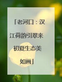 老河口：汉江荷韵引翠来 初夏生态美如画