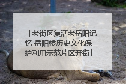 老街区复活老岳阳记忆 岳阳楼历史文化保护利用示范片区开街