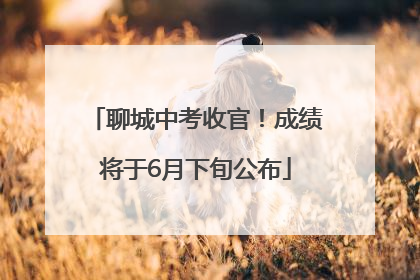 聊城中考收官！成绩将于6月下旬公布