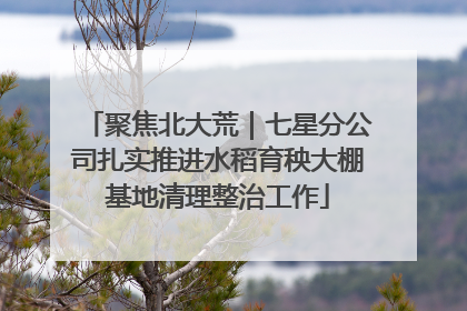 聚焦北大荒｜七星分公司扎实推进水稻育秧大棚基地清理整治工作