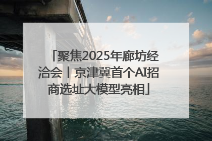 聚焦2025年廊坊经洽会丨京津冀首个AI招商选址大模型亮相