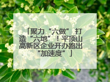 聚力“六做” 打造“六地”！平顶山高新区企业开办跑出“加速度”
