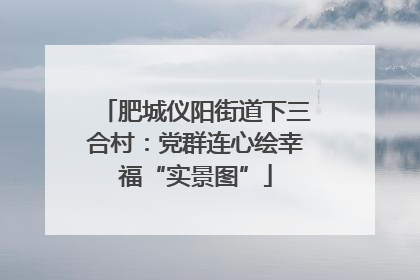 肥城仪阳街道下三合村：党群连心绘幸福“实景图”