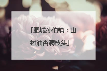 肥城孙伯镇：山村油杏满枝头