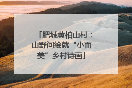 肥城黄柏山村：山野间绘就“小而美”乡村诗画