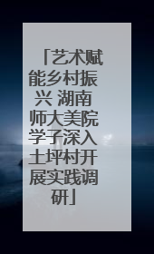 艺术赋能乡村振兴 湖南师大美院学子深入土坪村开展实践调研