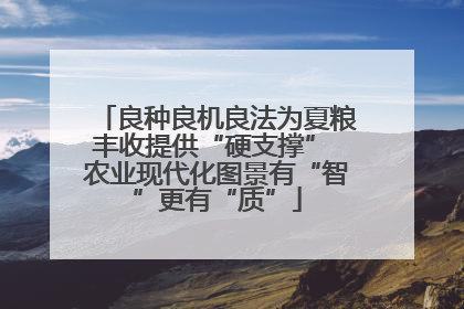 良种良机良法为夏粮丰收提供“硬支撑” 农业现代化图景有“智”更有“质”