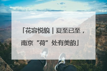 花容悦貌｜夏至已至，南京“荷”处有美韵