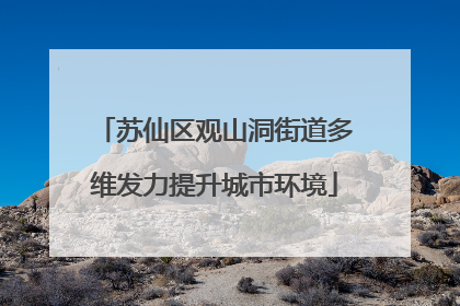 苏仙区观山洞街道多维发力提升城市环境