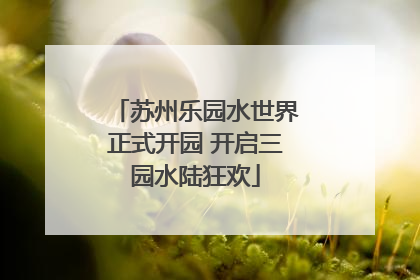 苏州乐园水世界正式开园 开启三园水陆狂欢
