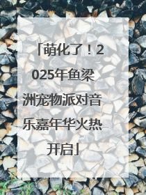 萌化了！2025年鱼梁洲宠物派对音乐嘉年华火热开启