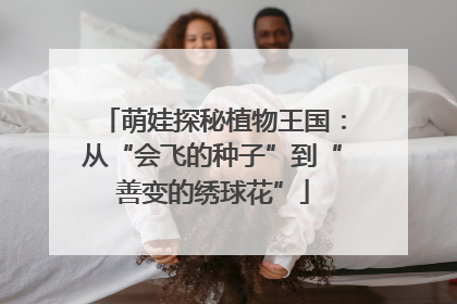 萌娃探秘植物王国：从“会飞的种子”到“善变的绣球花”