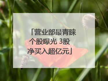 营业部最青睐个股曝光 3股净买入超亿元