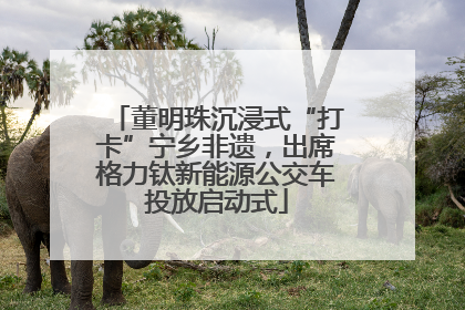 董明珠沉浸式“打卡”宁乡非遗，出席格力钛新能源公交车投放启动式