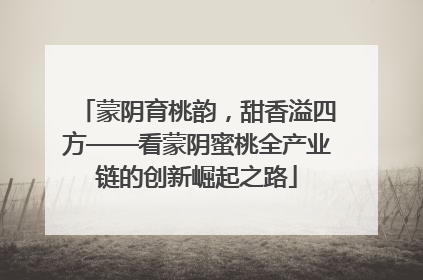 蒙阴育桃韵，甜香溢四方——看蒙阴蜜桃全产业链的创新崛起之路