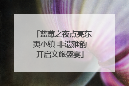 蓝莓之夜点亮东夷小镇 非遗雅韵开启文旅盛宴