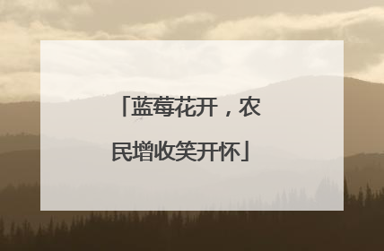 蓝莓花开，农民增收笑开怀