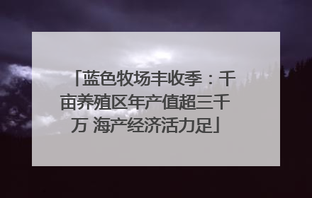 蓝色牧场丰收季：千亩养殖区年产值超三千万 海产经济活力足