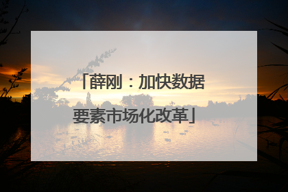 薛刚：加快数据要素市场化改革