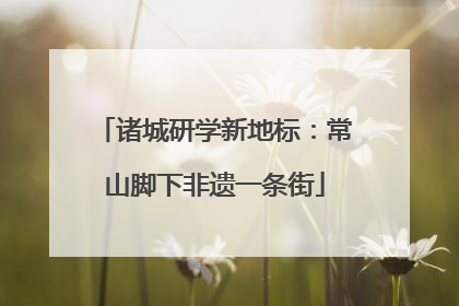 诸城研学新地标：常山脚下非遗一条街