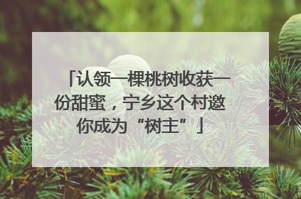 认领一棵桃树收获一份甜蜜，宁乡这个村邀你成为“树主”