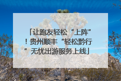 让跑友轻松“上阵”！贵州顺丰“轻松黔行”无忧出游服务上线